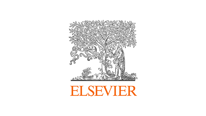 Virtual space for a rewarding immersive experience 