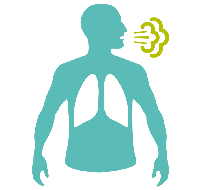 Mediciones De Tasas Respiratorias Cuidado General Philips Healthcare
